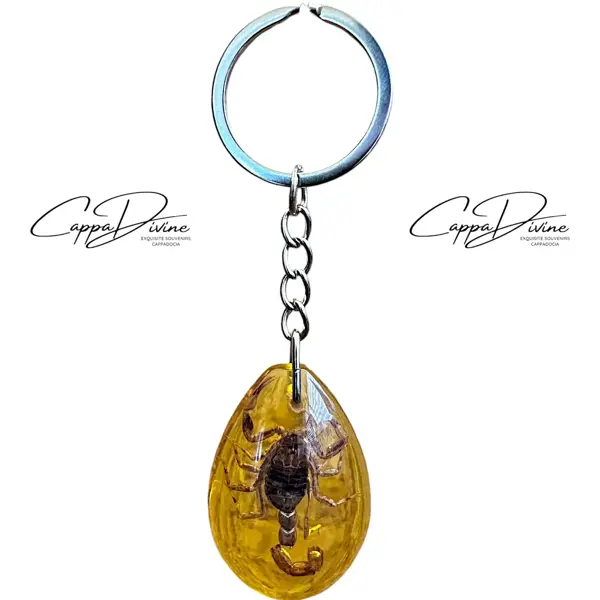 Scorpion Fossil Keychain – Amber & Droplet Shape