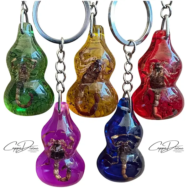 Scorpion Fossil Keychain – Amber & Guitar Shape