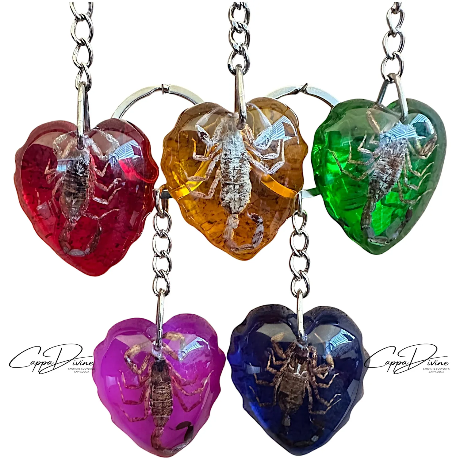 Scorpion Fossil Keychain – Amber & Heart Shape
