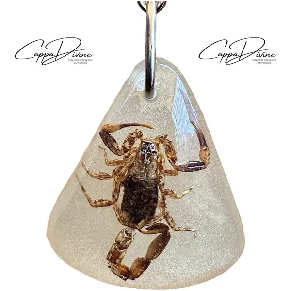Scorpion Fossil Keychain – Phosphorescent Amber & Triangle Shape